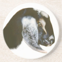 Nubian Goat Sandstone Coaster