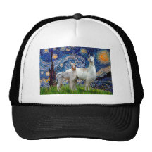 Nuit étoilée avec deux lamas casquette