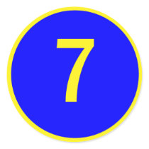 number 7 in a circle sticker