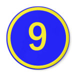 number 9 in a circle magnets
