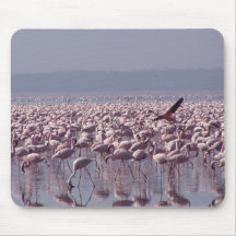 Number Of Flamingoes On The Beach Mousepad