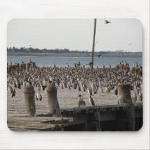 Number Of Sea Gulls On Wharf Mouse Pads