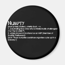 Numpty Magnets