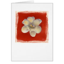 Nutmeg Shell & Red Flower Card