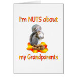 Nuts about Grandparents Cards
