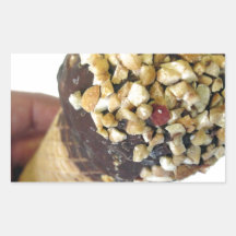 Nutty Ice Cream Cone Stickers