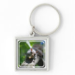 Nutty Squirrel Keychain