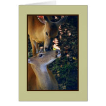 'Nuzzling Deer Duo' Blank Greeting Card