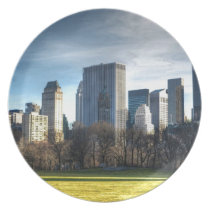 NYC plates