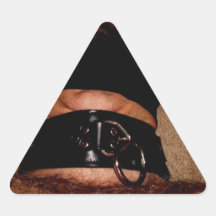 NYLONS AND COLLAR TRIANGLE STICKERS