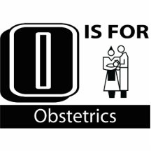 O Is For Obstetrics Photo Sculptures