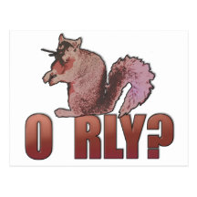O RLY Squirrel Post Cards