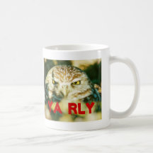 O RLY YA RLY MUG