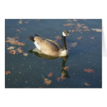 Oak Goose card
