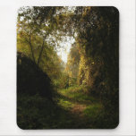 Oak Grove Morning Light Mousepad