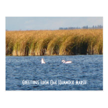 Oak Hammock Marsh Postcard