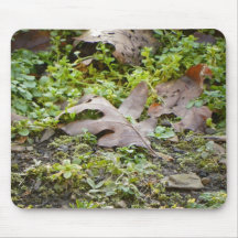 Oak Leaf and Chickweed Mousepad