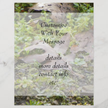 Oak Leaf and Chickweed Personalized Flyer