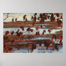 Oak Leaves in Winter Poster