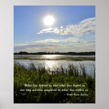 Oak Orchard Swamp Print