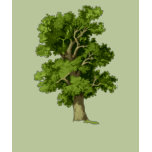 Oak - Parent t-shirts