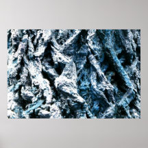 Oak tree bark blue tint background texture poster