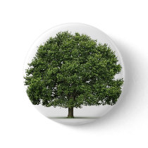 Oak Tree Buttons