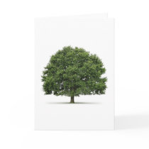 Oak Tree Cards