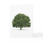 Oak Tree cards