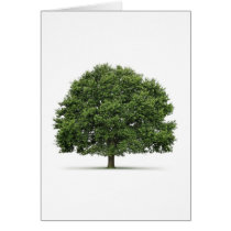 Oak Tree Greeting Card
