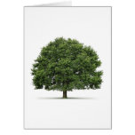 Oak Tree Cards