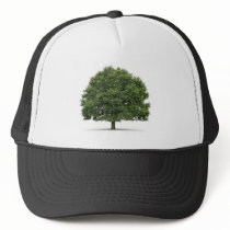 Oak Tree Mesh Hats