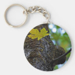 Oak Tree Keychain