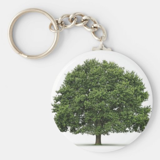 Oak Tree Keychains