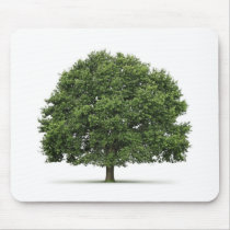 Oak Tree Mouse Mats