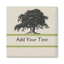 Oak Tree Plantation in Green