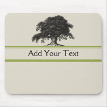 Oak Tree Plantation in Green