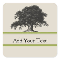 Oak Tree Plantation in Green