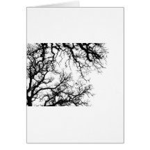 oak tree silhouette greeting cards