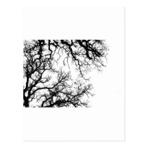 oak tree silhouette postcards
