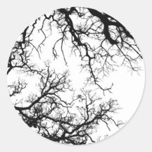 oak tree silhouette sticker