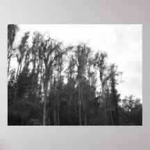 Oak Tree's 2 Poster