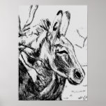 Oatman Burro, Oatman, AZ by Lessandra Grimley posters