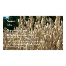 Oats Closeup Business Card