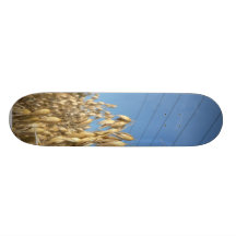 Oats Plant Skate Board Deck