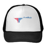 Obama 2012 hat