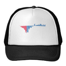 Obama 2012 hat