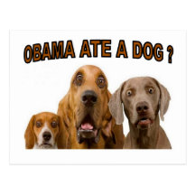 OBAMA ATE A DOG.jpg Post Cards