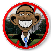 OBAMA PIN