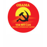 Obama is a Socialist T-Shirt